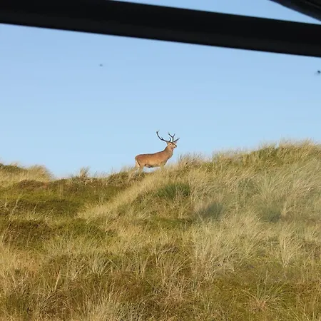 Hristina - 200m From The Sea By Interhome Feriehus *